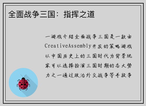 全面战争三国：指挥之道
